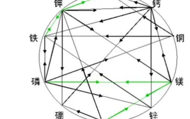 农业施肥元素的拮抗作用哔哩哔哩bilibili