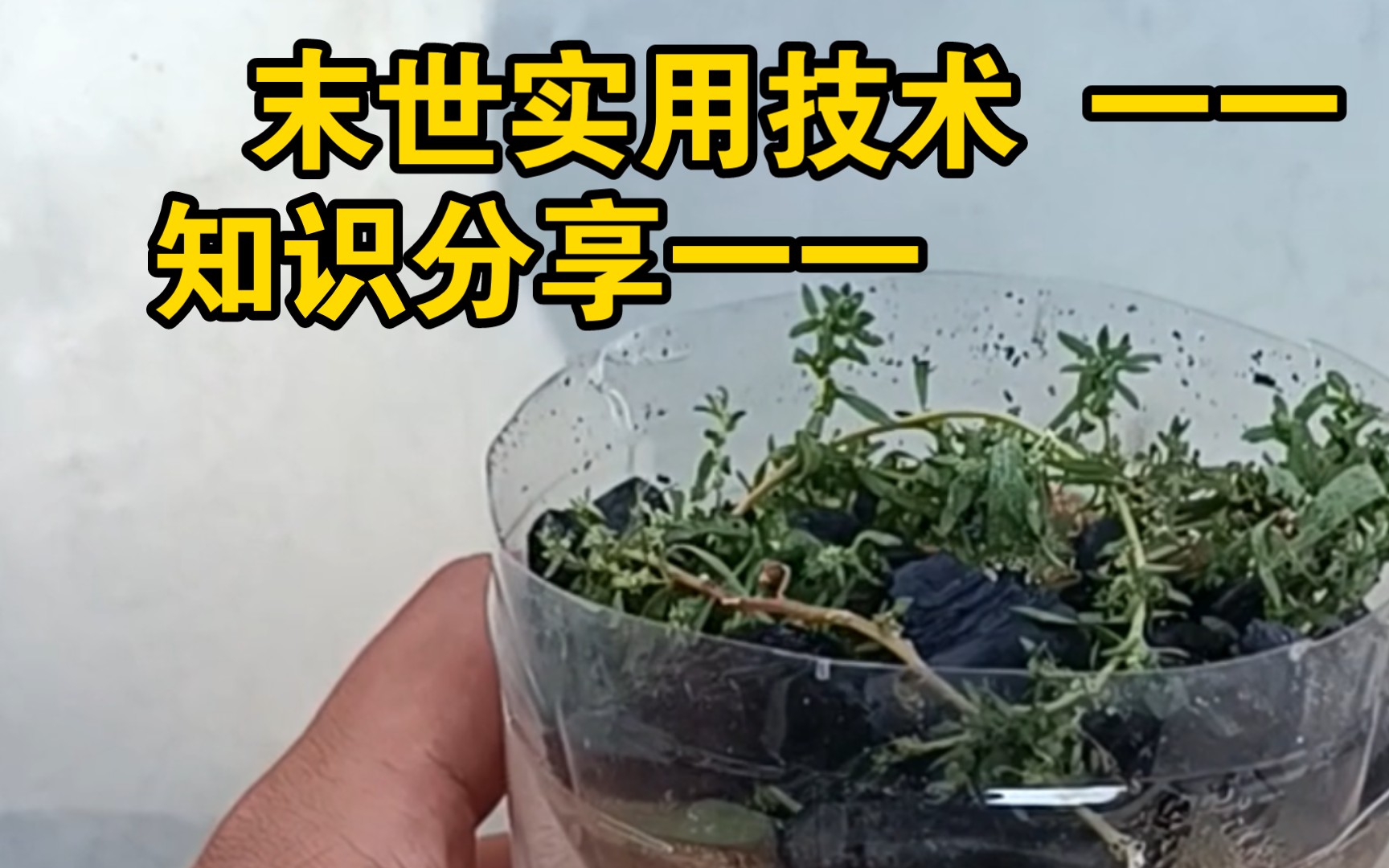 [图]如何在战争后的废土环境之中喝到一口干净的饮用水？