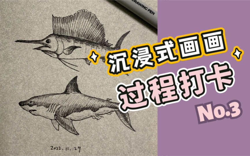 沉浸式画画打卡【新手向】海洋生物!简单速写练习纯手绘哔哩哔哩bilibili