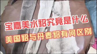 Download Video: 几千元能买到真正的宝嘉美貂皮大衣吗？美国貂与丹麦貂有何区别