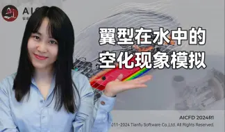 Download Video: 【CFD教程】4分钟学会水中翼型空化现象模拟