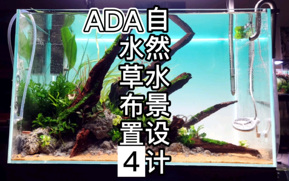 ADA自然水景设计之水草布置分享哔哩哔哩bilibili