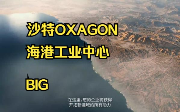 沙特OXAGON未来城市 | BIG哔哩哔哩bilibili