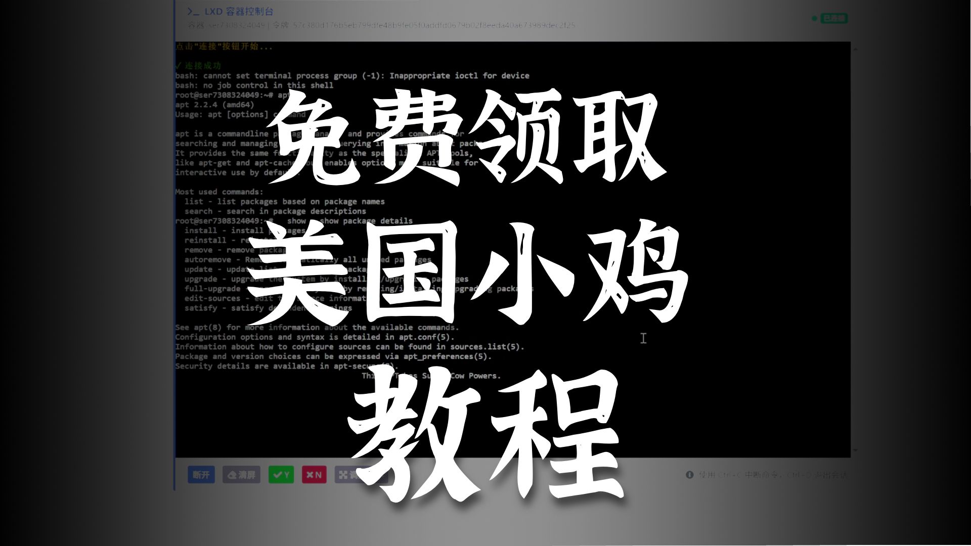 免费/超低价小鸡(美国区域上线)进群享受不定时优惠券