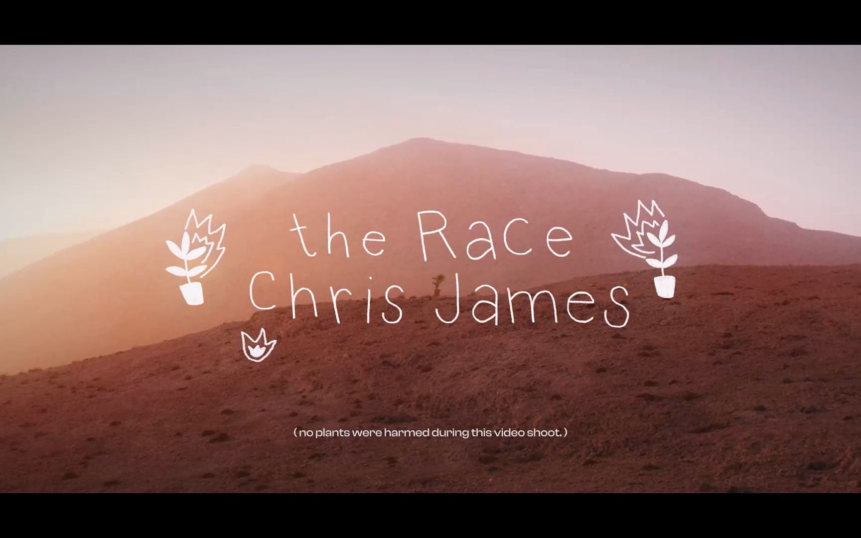 [图][MV] Chris James - The Race [中英字幕]