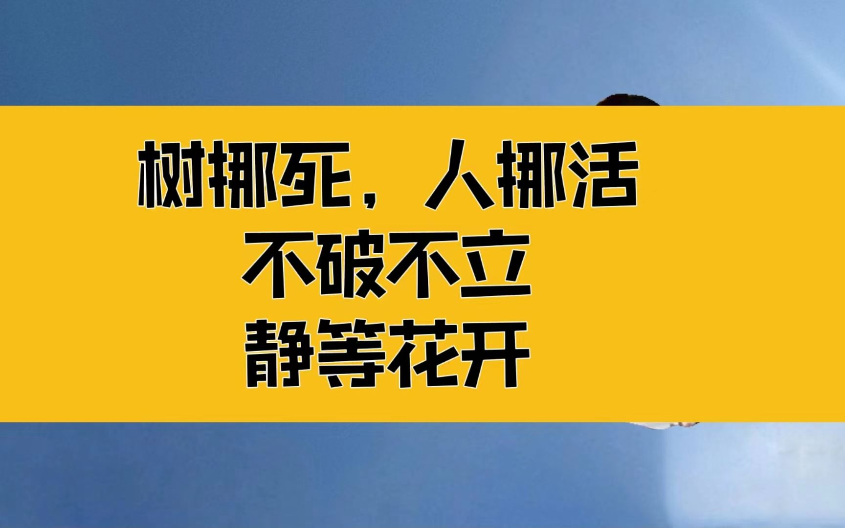 [图]庄子：树挪死，人挪活！不破不立，简化你的生活，静等花开