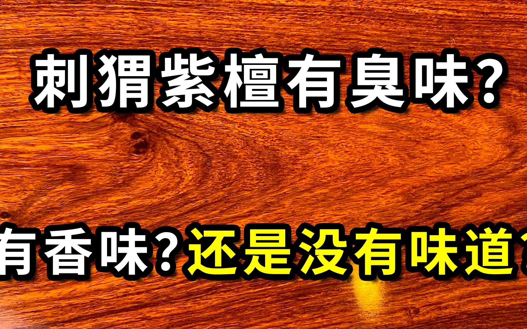 刺猬紫檀有臭味?有香味?还是没有味道?很多人都搞错了!哔哩哔哩bilibili