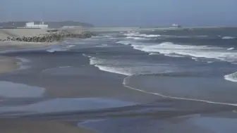 福岛海水现状