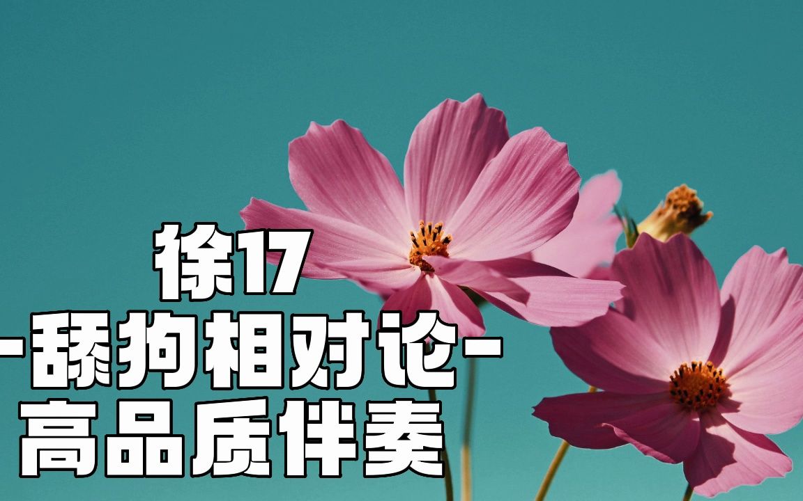 [图]徐17 -舔狗相对论- 高品质伴奏