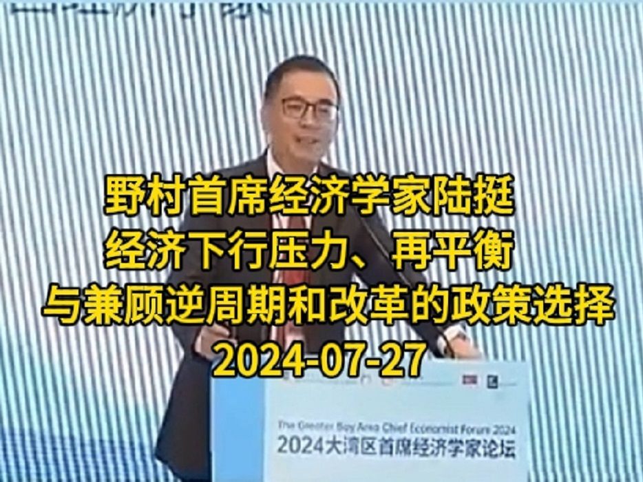 20240727野村经济学家陆挺:经济下行压力、再平衡、与兼顾逆周期和改革的政策选择哔哩哔哩bilibili