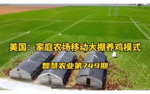 Descargar video: 美国：家庭农场移动大棚养蛋鸡模式