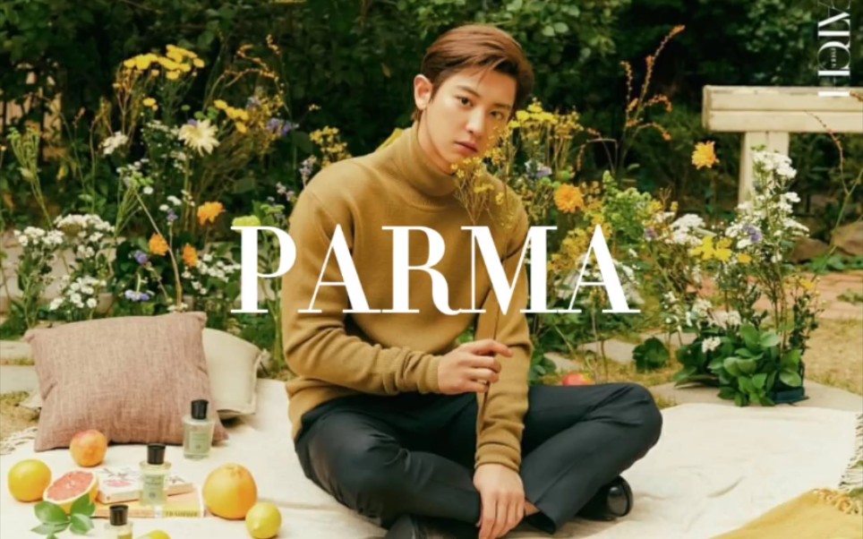 《如何成为一个国际超模之朴灿烈》PARMA篇哔哩哔哩bilibili