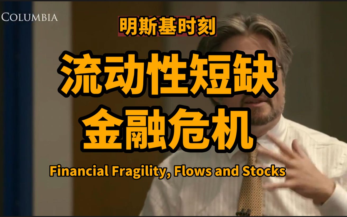 金融体系的脆弱性:流动性短缺与金融危机(Financial Fragility, Flows and Stocks)货币金融学公开课第4课第11讲哔哩哔哩bilibili