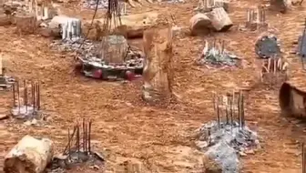 液压破桩机，钢筋混凝土桩头在它面前，就是