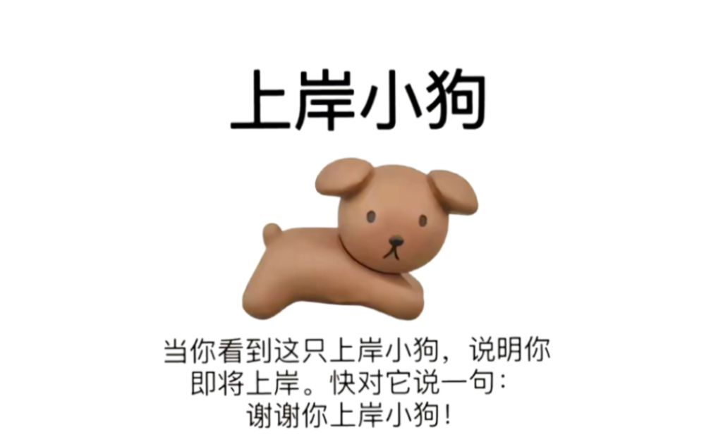 上岸小狗保佑你所有考试都上岸!