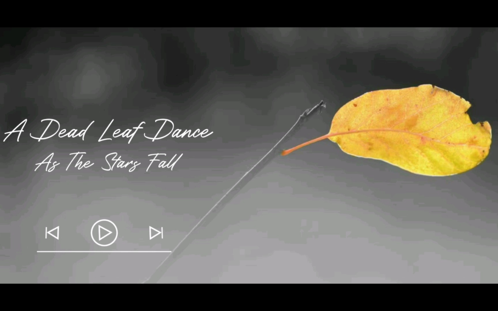 [图]【纯音推荐】A Dead Leaf Dance（枯叶之舞）——As The Stars Fall