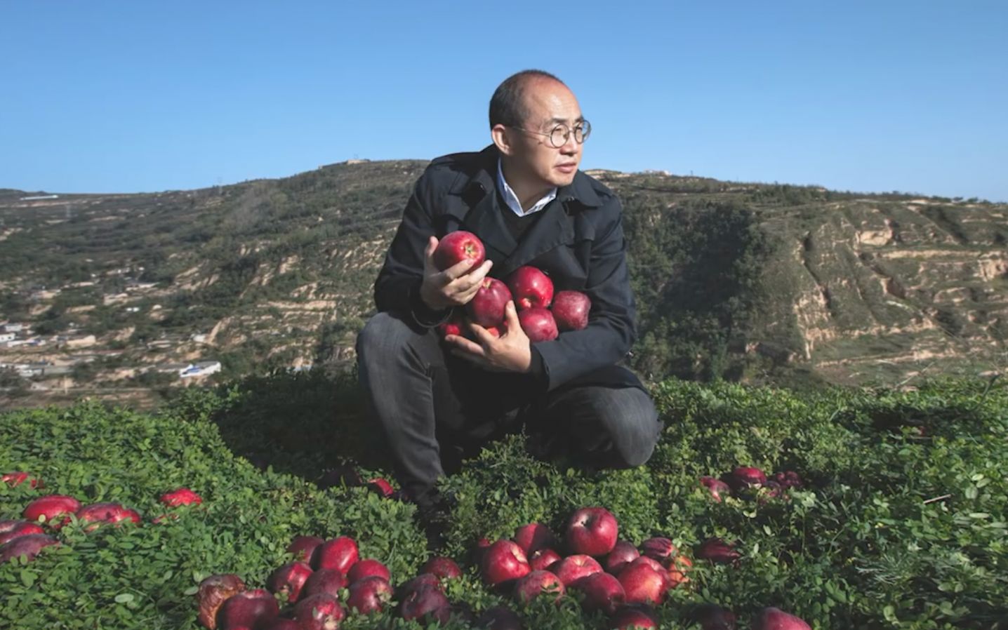 甘肃苹果丰收却滞销,潘石屹帮老家带货,一口气买10万斤哔哩哔哩bilibili