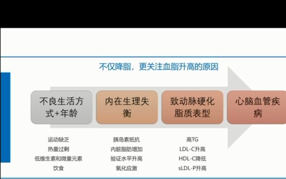 功能医学健康管理血脂篇二哔哩哔哩bilibili