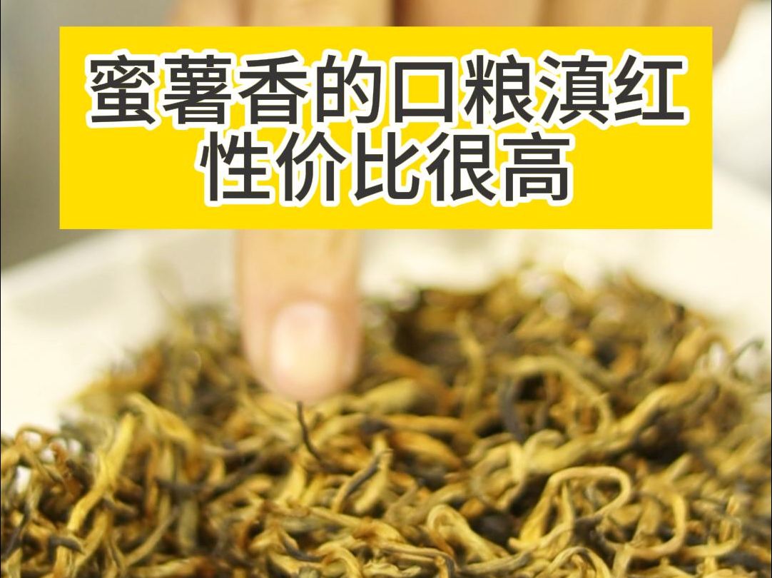 蜜薯香又浓郁耐泡的滇红口粮茶,性价比很高 #滇红 #红茶哔哩哔哩bilibili