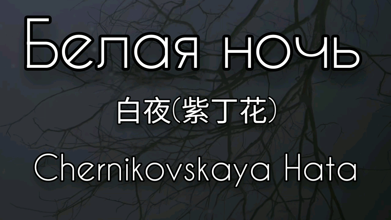 [图]【俄语后朋/中字自翻】Белая ночь（白夜）—Chernikovskaya Hata