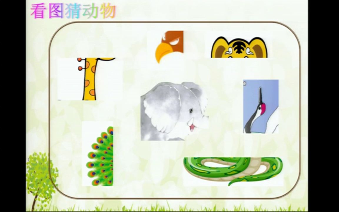 [图]【获奖】部编版小学语文二年级下册《19大象的耳朵》【孙老师】【省级】优质课公开课教学视频