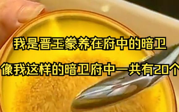 [图]《暗卫不上进》我是晋王豢养在府中的暗卫，像我这样的暗卫府中一共有20个