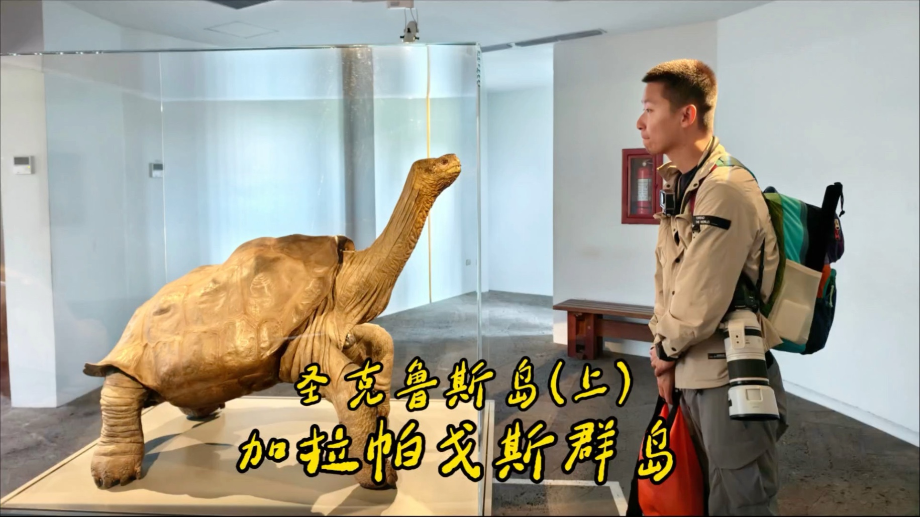 孤独的乔治或许还“活着”