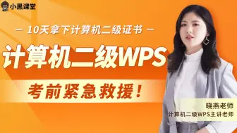 Скачать видео: 小黑课堂计算机二级WPS考前免费紧急救援（14小时讲解）