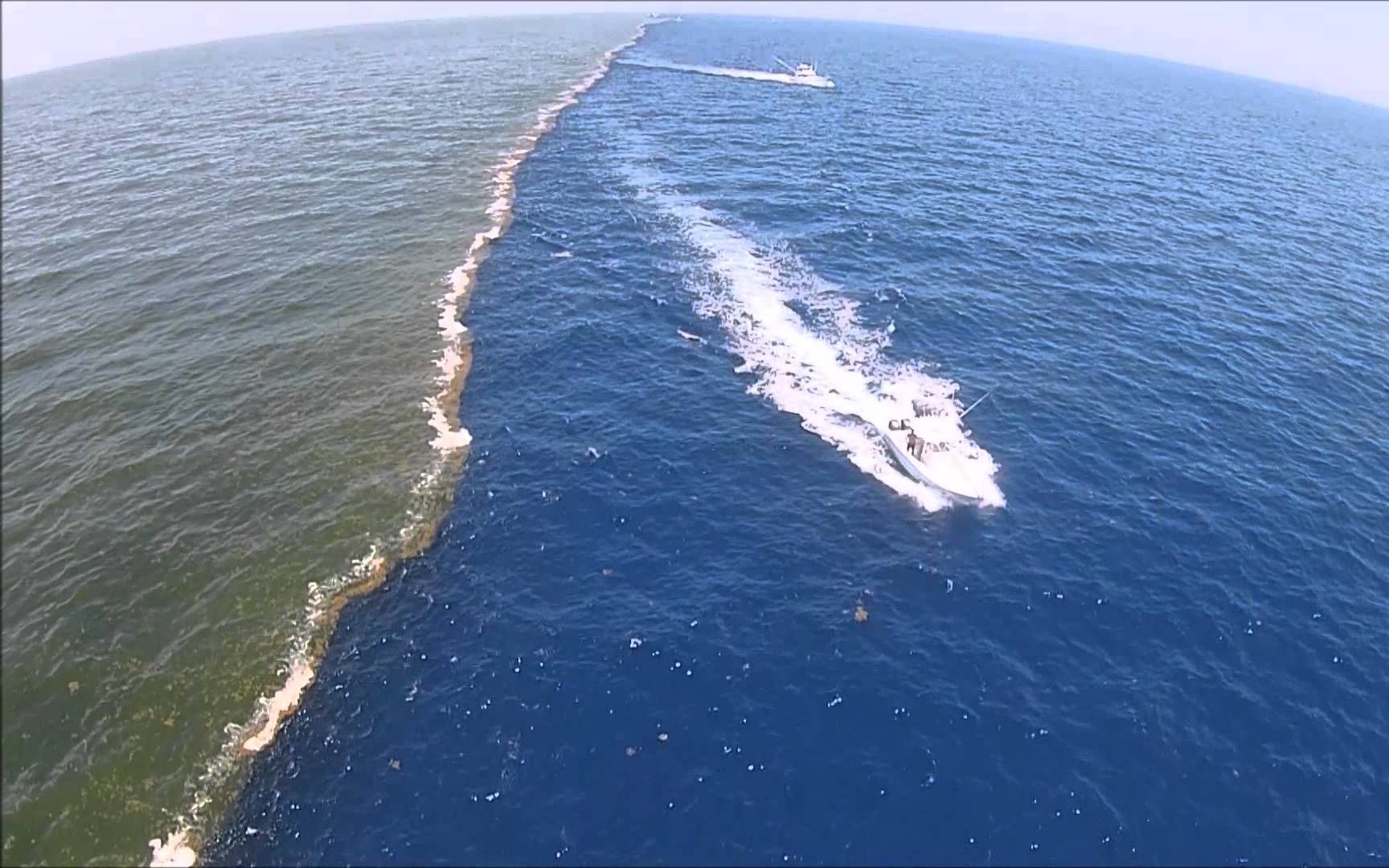 万物遐想# 两片海水无法融合的奇观景象