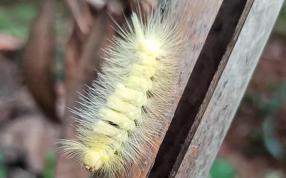 慎点拍完鸡皮疙瘩掉一地