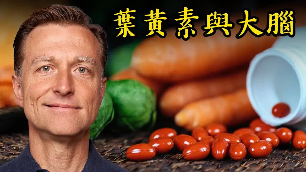 叶黄素与大脑保健,类胡萝卜素是什么? 自然疗法, 柏格医生dr berg哔哩哔哩bilibili