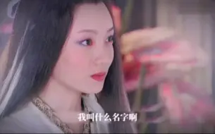 Download Video: 【华胥引】君拂，轻若尘埃，一拂即逝！