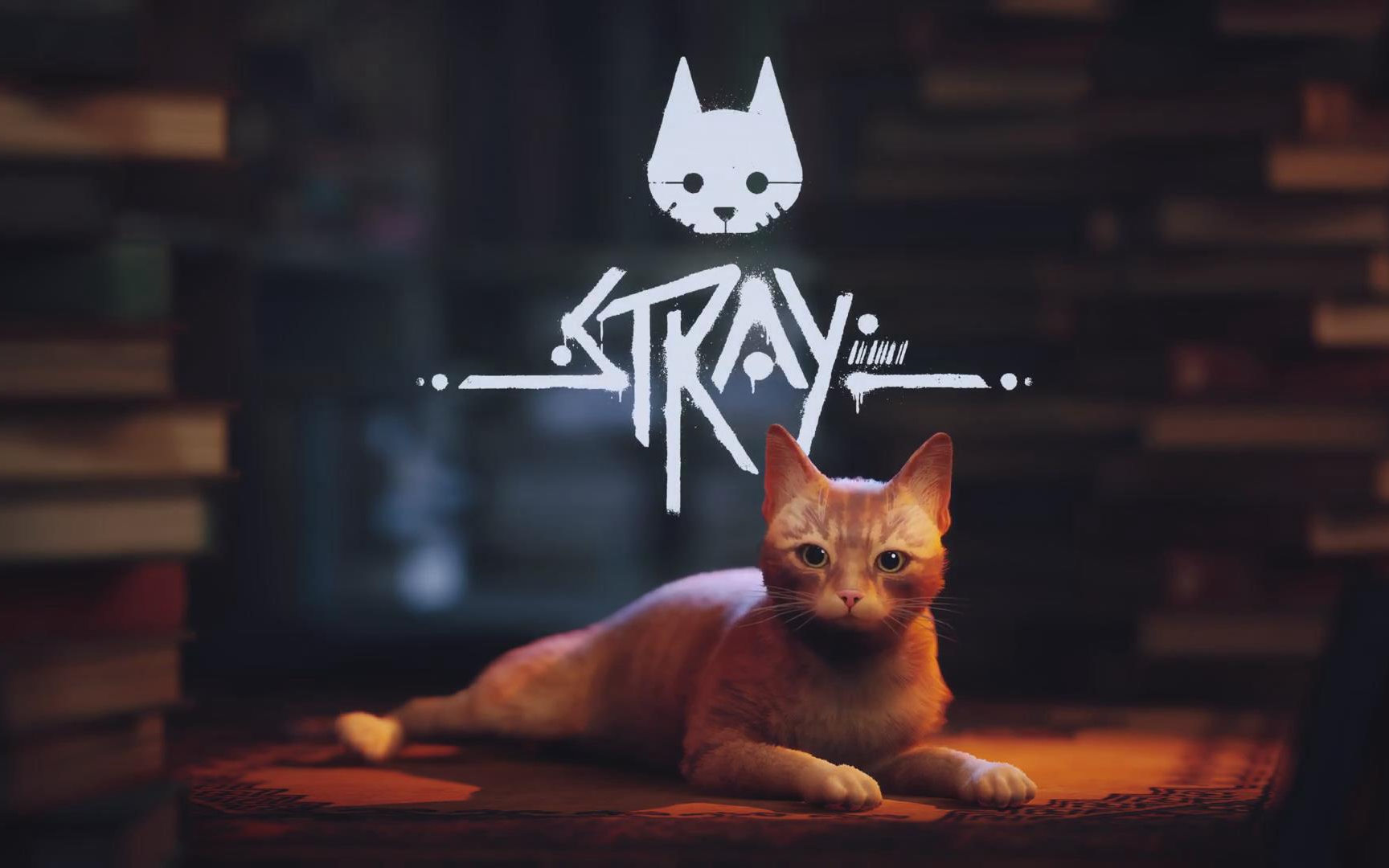 [图]《Stray迷途猫》游戏预告