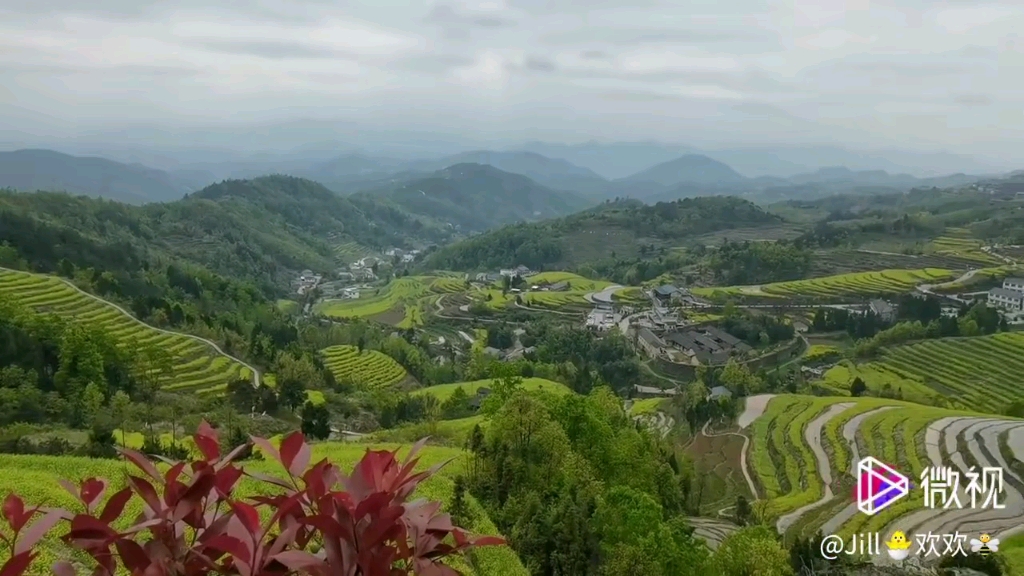 [图]美丽的梯田