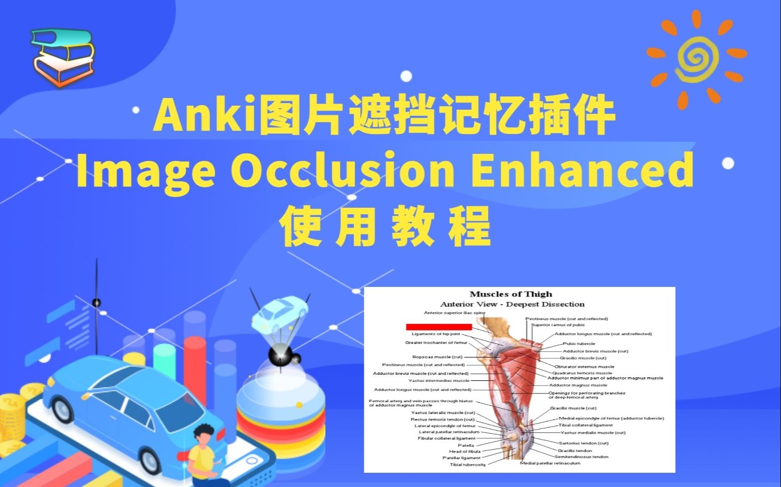 【译制】Anki图片遮挡记忆插件Image Occlusion Enhanced使用教程哔哩哔哩bilibili