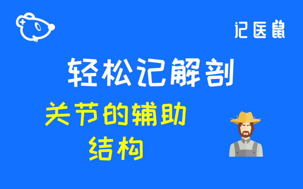 [图]40 解剖 轻松记- 关节的辅助结构