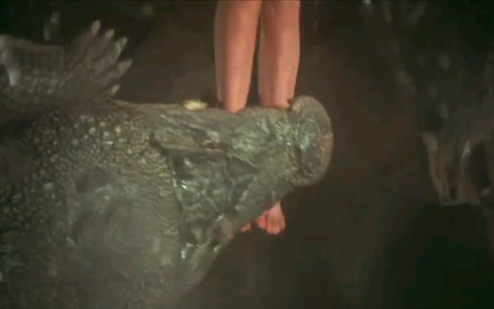 凶残鳄鱼吞噬少女 大师设计捕杀为其报仇