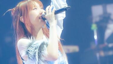 Ayase / Davinci】The Bloom_哔哩哔哩_bilibili