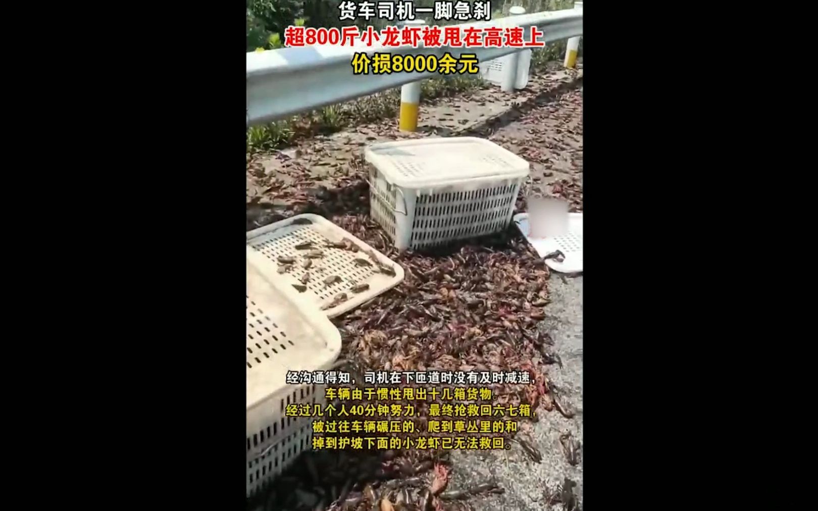 网红浮桥坠车事故承建方回应:出车祸不能怪修路的;因一脚急刹,超800斤小龙虾甩高速上!哔哩哔哩bilibili