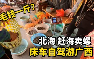 Download Video: 床车自驾游广西北海，跟本地人去赶海挖沙虫，赚点旅行生活费？