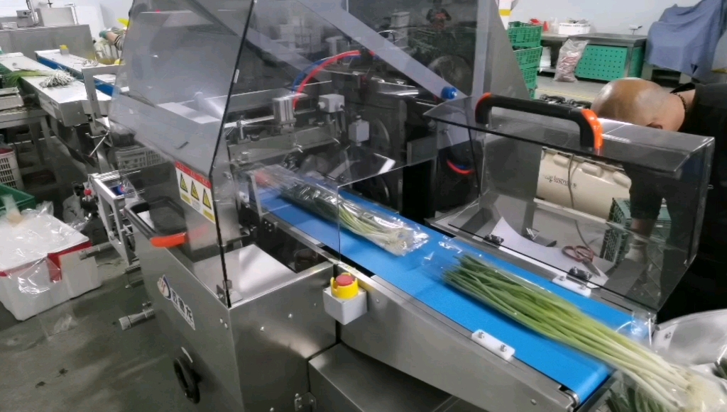 山东青岛蔬菜枕式包装机 果蔬包装机