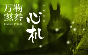 Download Video: 【纪录片】《万物滋养》第1集 森林间的心机