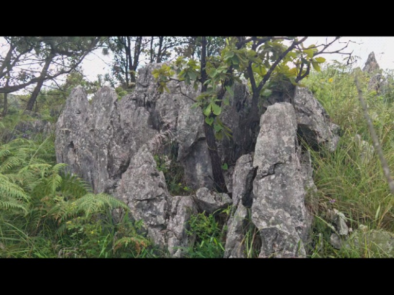 山脉独特化气开出“石莲花穴”玉㺬横案,贵峰林立照穴场哔哩哔哩bilibili