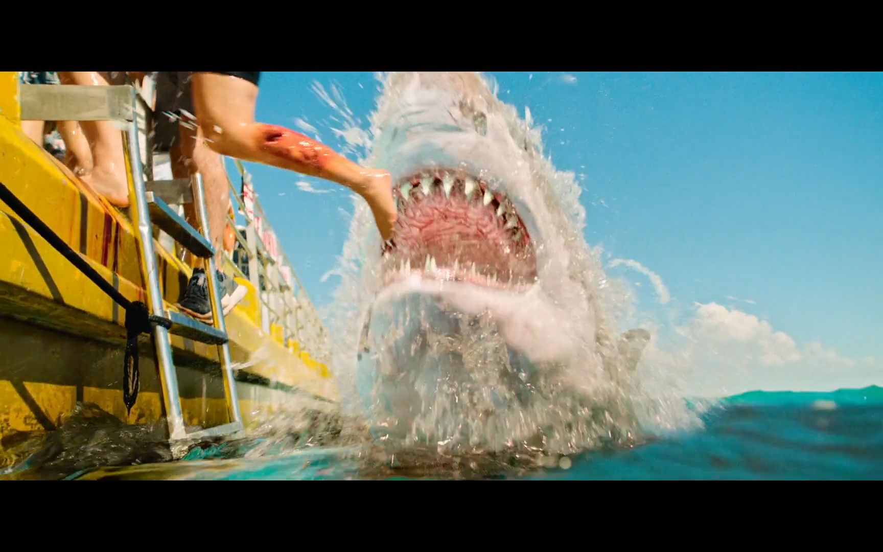 《猛鲨出笼》美国最新冒险恐怖电影,高中少女潜水探险,遭遇嗜血鲨鱼