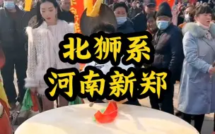 Download Video: 北狮表演，河南新郑十里铺舞狮团，狮舞春秋，五子登科，高手在民间