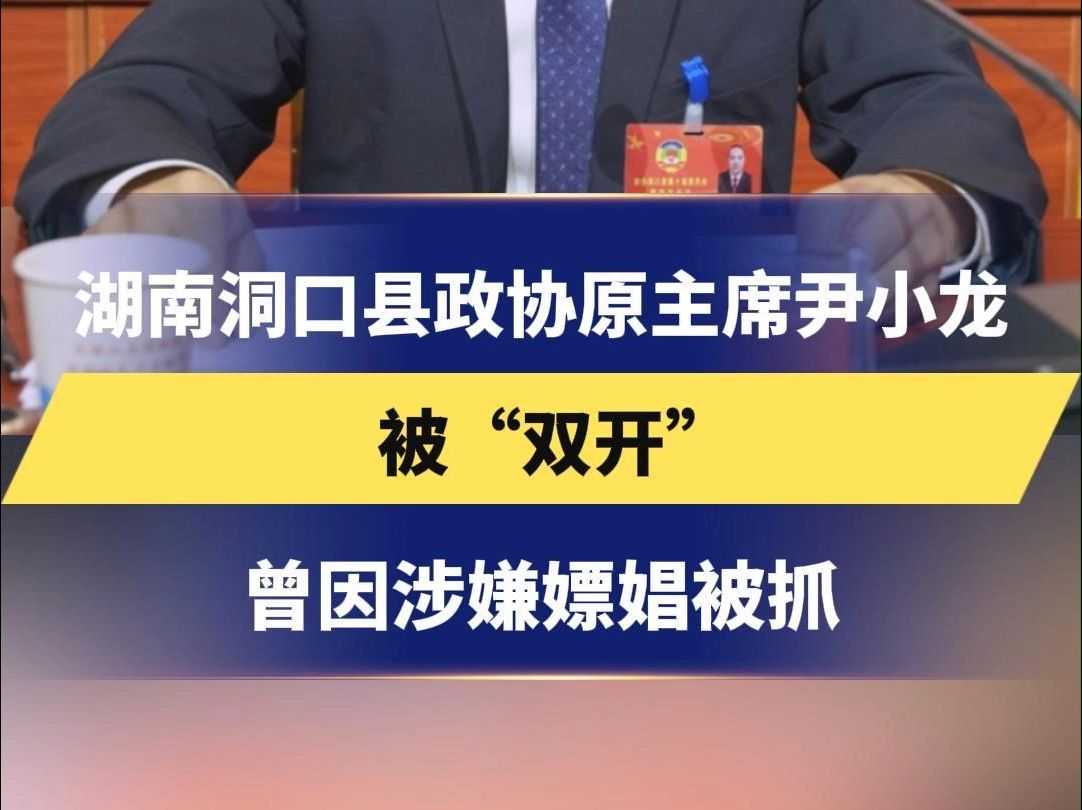 湖南洞口县政协原主席尹小龙 被“双开” 曾因涉嫌嫖娼被抓哔哩哔哩bilibili