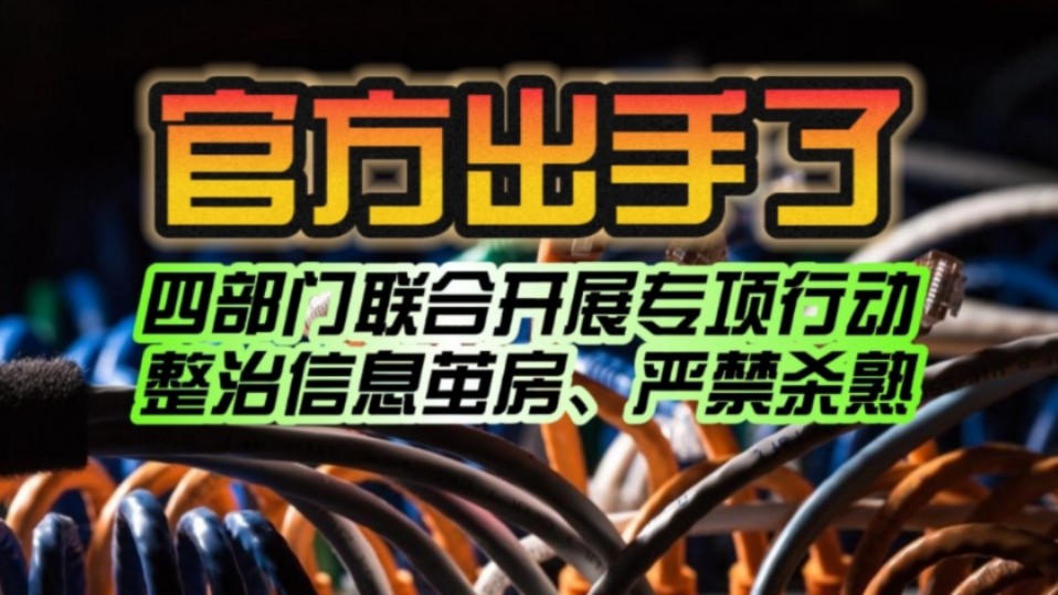 四部门联合出手!官方正式开展专项行动:整治“信息茧房”、严禁大数据“杀熟”!哔哩哔哩bilibili