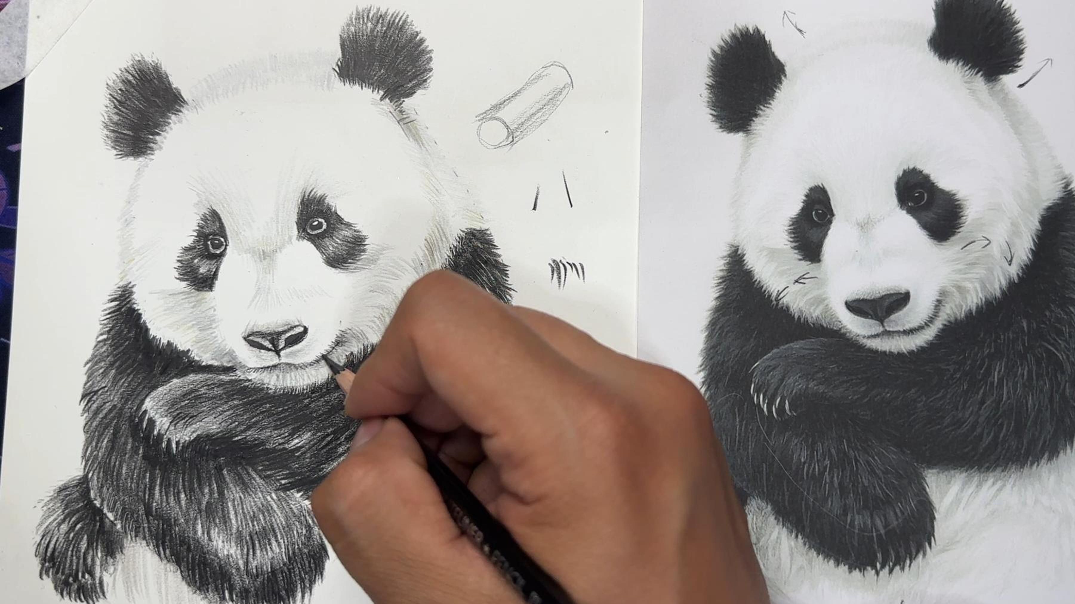 老年大学彩铅课件