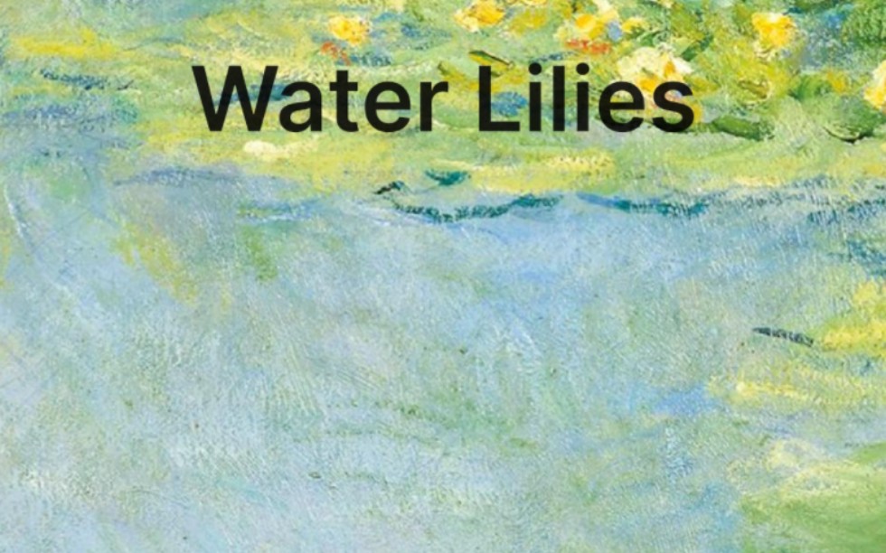 不背单词day9 | water lilies