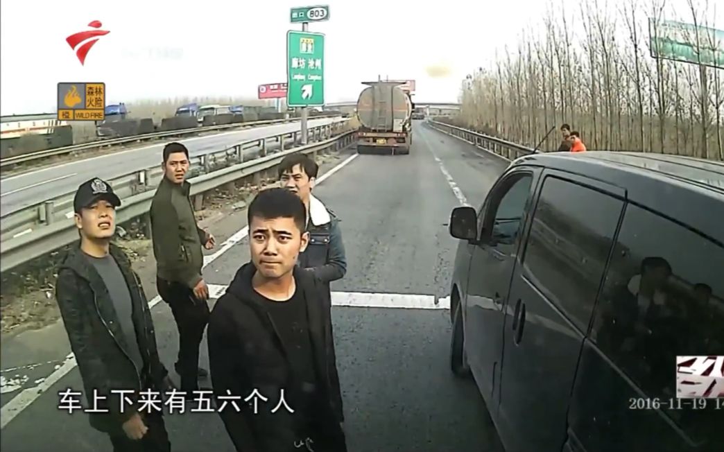 [图]【社会纵横】“爱狗人士”高速公路数次强行截停卡车，强砸车窗，频频触犯法律竟只是为了救狗